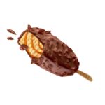 BEST Full Pecan Pralines